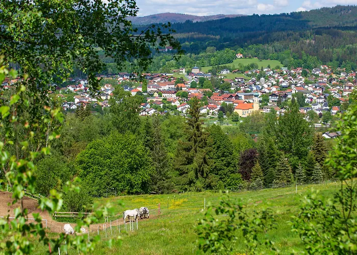 St. Florian Hotel Frauenau